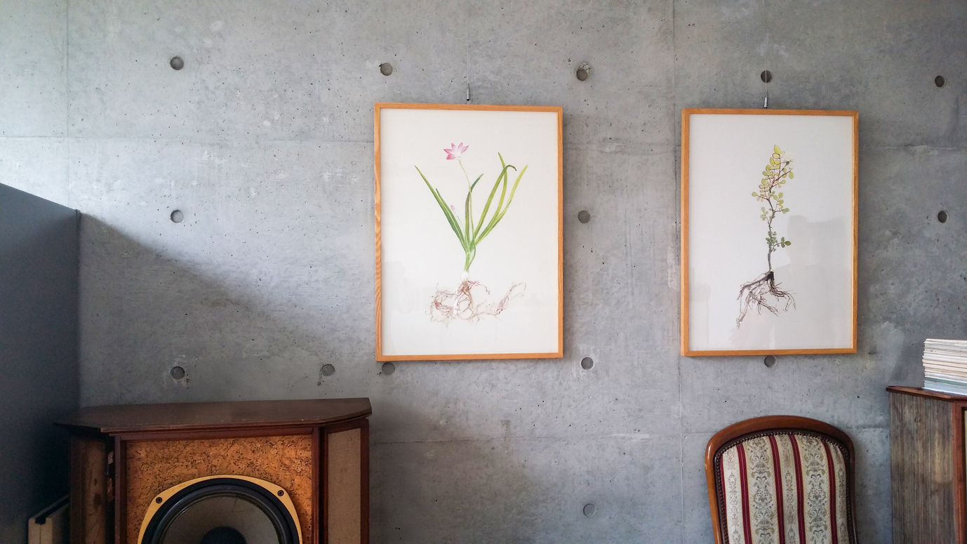 개인주택, 서울, 2012