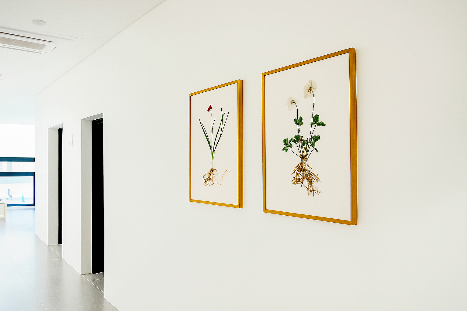 T 기업, 서울, 2025 / 구성수(사진)